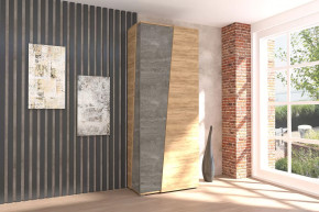 Аллегро-10 Шкаф двухдверный Диал в Новом Уренгое - novyj-urengoj.mebel-tymen.ru | фото