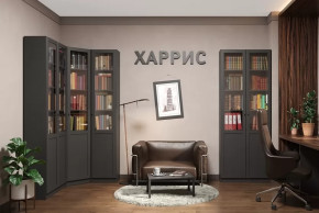 Библиотека Харрис в Новом Уренгое - novyj-urengoj.mebel-tymen.ru | фото