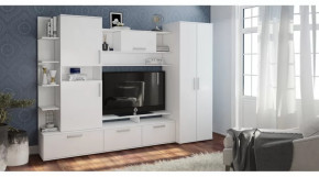 Гостиная Денвер в Новом Уренгое - novyj-urengoj.mebel-tymen.ru | фото