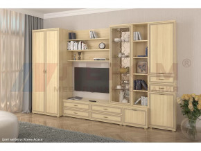 Гостиная Карина набор 11 в Новом Уренгое - novyj-urengoj.mebel-tymen.ru | фото