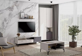 Гостиная Лион №3 Ясень анкор светлый/Графит Диал в Новом Уренгое - novyj-urengoj.mebel-tymen.ru | фото