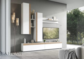 Гостиная НАО-Моно №1 в Новом Уренгое - novyj-urengoj.mebel-tymen.ru | фото