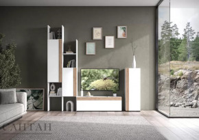 Гостиная НАО-Моно №3 в Новом Уренгое - novyj-urengoj.mebel-tymen.ru | фото