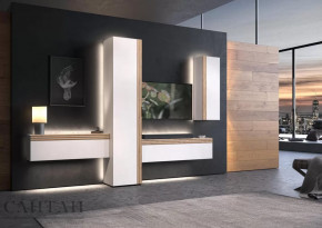 Гостиная НАО-Моно №7 в Новом Уренгое - novyj-urengoj.mebel-tymen.ru | фото