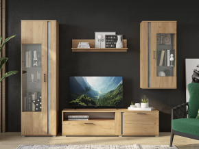 Гостиная Омега в Новом Уренгое - novyj-urengoj.mebel-tymen.ru | фото