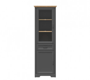 JASMIN шкаф REG1W1D1S (Графит/ Дуб артизан) в Новом Уренгое - novyj-urengoj.mebel-tymen.ru | фото