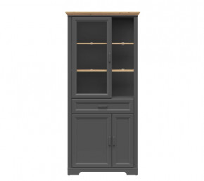 JASMIN шкаф REG1W2D1S (Графит/ Дуб артизан) в Новом Уренгое - novyj-urengoj.mebel-tymen.ru | фото