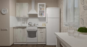 Кухонный гарнитур Алина мини 1000 мм в Новом Уренгое - novyj-urengoj.mebel-tymen.ru | фото