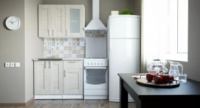 Кухонный гарнитур Лира мини 1000 мм в Новом Уренгое - novyj-urengoj.mebel-tymen.ru | фото