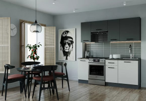 Кухонный гарнитур Лофт-2000 столешница 26 мм в Новом Уренгое - novyj-urengoj.mebel-tymen.ru | фото