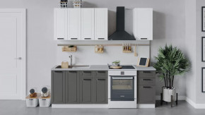 Кухонный гарнитур «Лорас» длиной 160 см в Новом Уренгое - novyj-urengoj.mebel-tymen.ru | фото