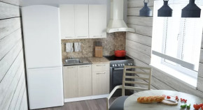 Кухонный гарнитур Ольга мини 2 1000 мм в Новом Уренгое - novyj-urengoj.mebel-tymen.ru | фото