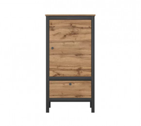 LOFT шкаф REG1D1S/60 (Дуб вотан/Черный) в Новом Уренгое - novyj-urengoj.mebel-tymen.ru | фото