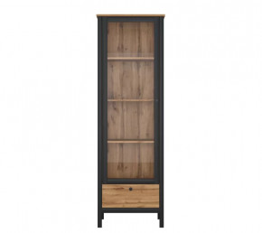 LOFT шкаф REG1W1S (Дуб вотан/Черный) в Новом Уренгое - novyj-urengoj.mebel-tymen.ru | фото