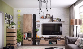 Модульная гостиная Nature в Новом Уренгое - novyj-urengoj.mebel-tymen.ru | фото