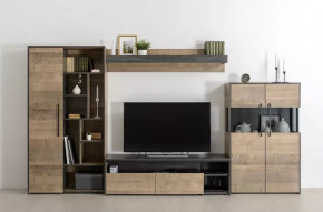 Модульная гостиная Трувор в Новом Уренгое - novyj-urengoj.mebel-tymen.ru | фото