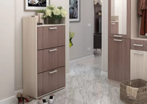 Обувница №2 Дели в Новом Уренгое - novyj-urengoj.mebel-tymen.ru | фото