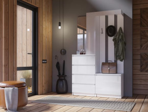 Прихожая Челси белый в Новом Уренгое - novyj-urengoj.mebel-tymen.ru | фото