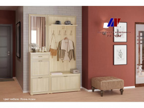 Прихожая Карина набор 2 в Новом Уренгое - novyj-urengoj.mebel-tymen.ru | фото