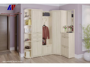Прихожая Карина набор 5 в Новом Уренгое - novyj-urengoj.mebel-tymen.ru | фото