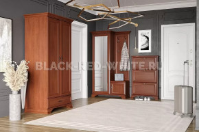 Прихожая Kentaki каштан в Новом Уренгое - novyj-urengoj.mebel-tymen.ru | фото
