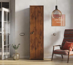 Шкаф JREG 1d Дуб саттер ИНДИАНА в Новом Уренгое - novyj-urengoj.mebel-tymen.ru | фото