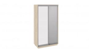 Шкаф-купе 2-х дверный «Румер» в Новом Уренгое - novyj-urengoj.mebel-tymen.ru | фото