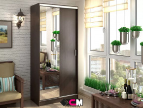 Шкаф-купе Альянс 1000 в Новом Уренгое - novyj-urengoj.mebel-tymen.ru | фото