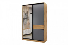 Шкаф-купе SLIM двухдверный BS15-6.ZD в Новом Уренгое - novyj-urengoj.mebel-tymen.ru | фото