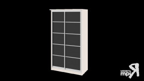 Шкаф-купе «Стэн» СМ-140.01.001 в Новом Уренгое - novyj-urengoj.mebel-tymen.ru | фото