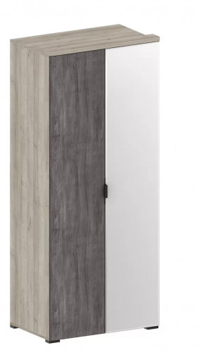 Шкаф Шаде ШК-2903 в Новом Уренгое - novyj-urengoj.mebel-tymen.ru | фото