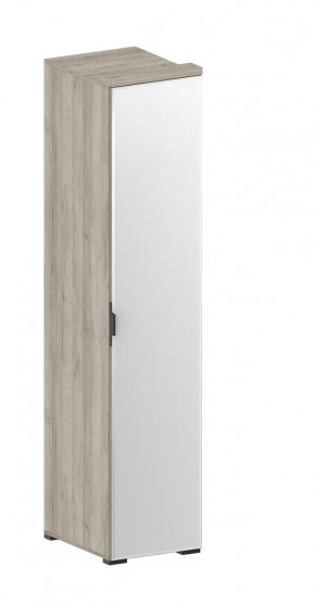 Шкаф Шаде ШК-2912 в Новом Уренгое - novyj-urengoj.mebel-tymen.ru | фото