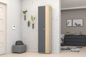 Шкаф ШК-01 Монако в Новом Уренгое - novyj-urengoj.mebel-tymen.ru | фото