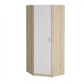 Шкаф угловой "Салоу" 900 в Новом Уренгое - novyj-urengoj.mebel-tymen.ru | фото