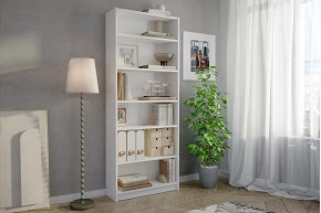 Стеллаж Бильд в Новом Уренгое - novyj-urengoj.mebel-tymen.ru | фото