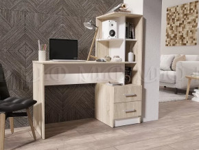 Стол компьютерный №2 в Новом Уренгое - novyj-urengoj.mebel-tymen.ru | фото