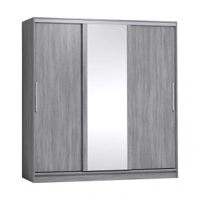 Strike 2000 Шкаф-купе зеркало/лдсп в Новом Уренгое - novyj-urengoj.mebel-tymen.ru | фото