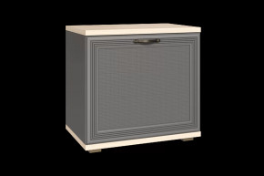 Тумба для обуви ТБ-1042 Карина в Новом Уренгое - novyj-urengoj.mebel-tymen.ru | фото