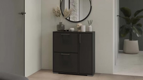 Тумба для обуви Тип 15 Антрацит в Новом Уренгое - novyj-urengoj.mebel-tymen.ru | фото