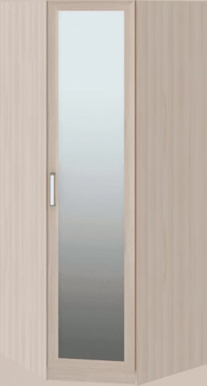 Волкер подростковая М01 Шкаф угловой в Новом Уренгое - novyj-urengoj.mebel-tymen.ru | фото