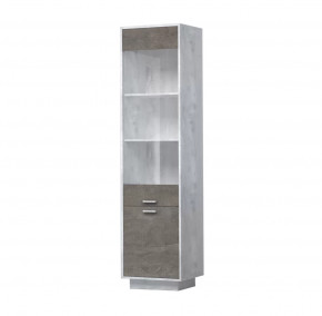 ЭГО ПС-1 Пенал с 2 дверьми 500 мм Диал в Новом Уренгое - novyj-urengoj.mebel-tymen.ru | фото